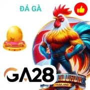 66b Game 10